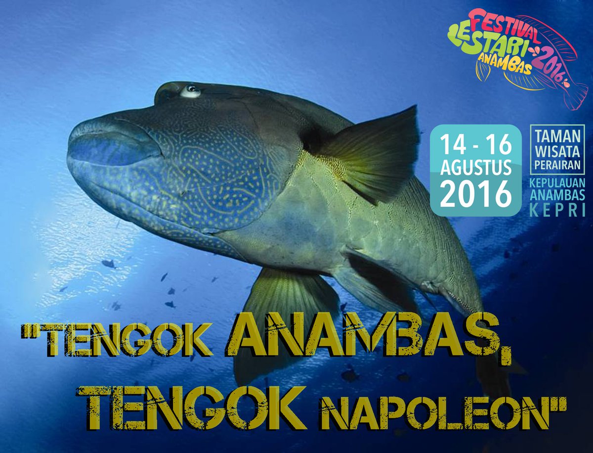 “Tengok Anambas, Tengok Napoleon”
FESTIVAL LESTARI ANAMBAS - Pulau Tarempa 14 - 16 Agustus 2016