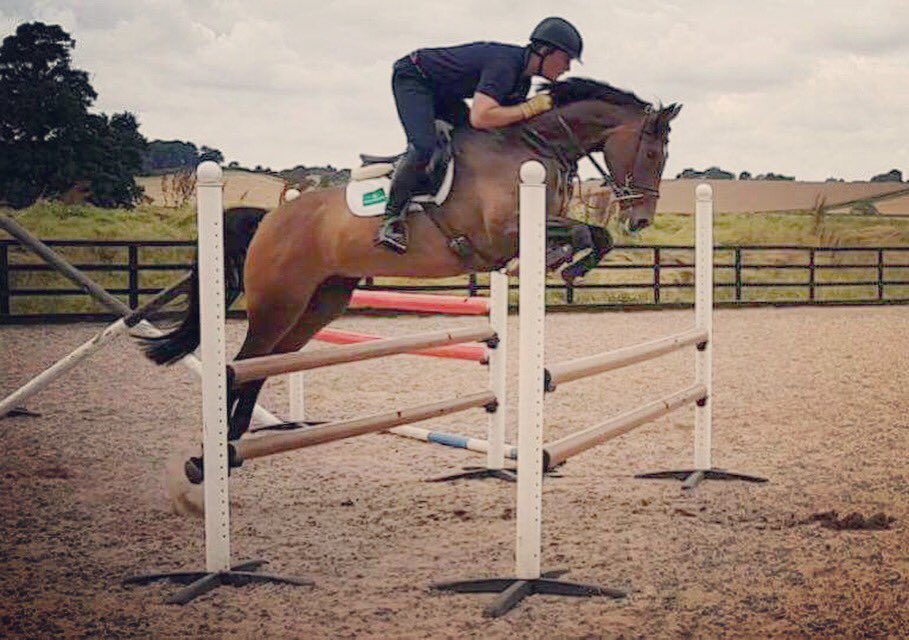 BDAequestrian1's tweet photo. 4yr old Hudina training at home #headingtoaddington #younghorsechamps #burghleybound #BYEHFINAL2016 #BDAequestrian https://t.co/M81dxnoYoh