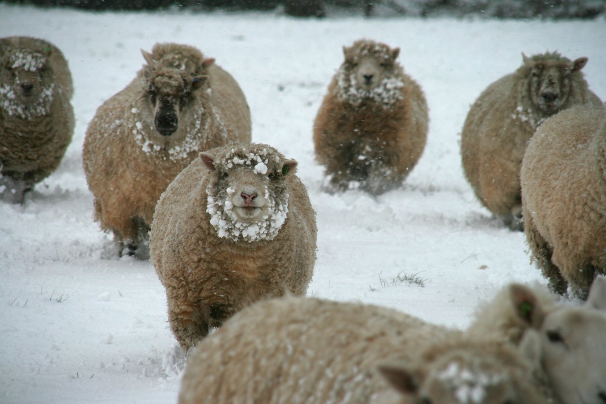 BiodynamicUK's tweet photo. Help spread the word of #biodynamics. Join our newsletter & share with your friends https://t.co/6l4XCfcmTF https://t.co/ehr1bXjWzO