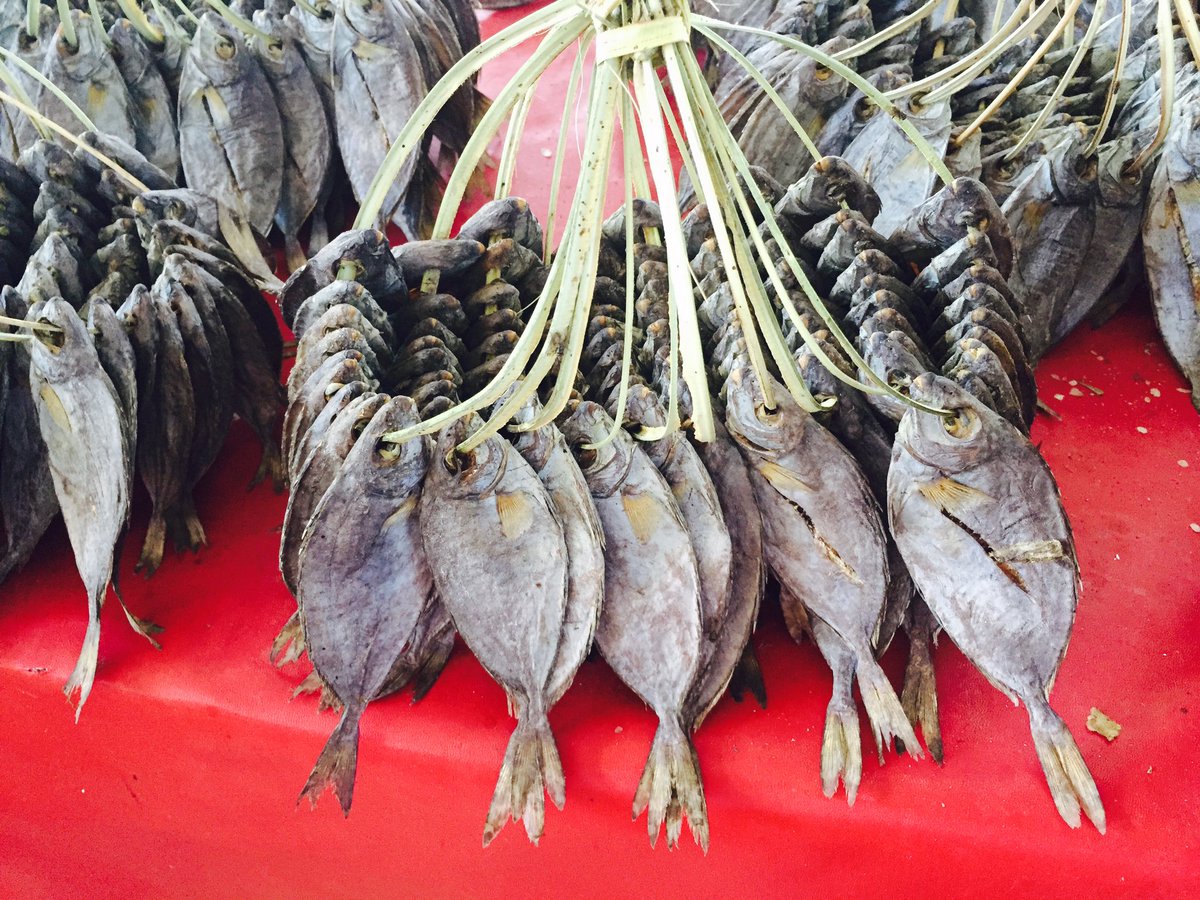 farfromcrowd's tweet photo. Thou shalt have a fishy...
Beautiful presentation at local fish market in Labuan Bajo, Flores, Indonesia https://t.co/mL205p1r9i