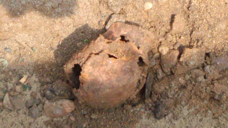 Znaleźli ludzką czaszkę zloty-pociag.com/znalezli-ludzk…