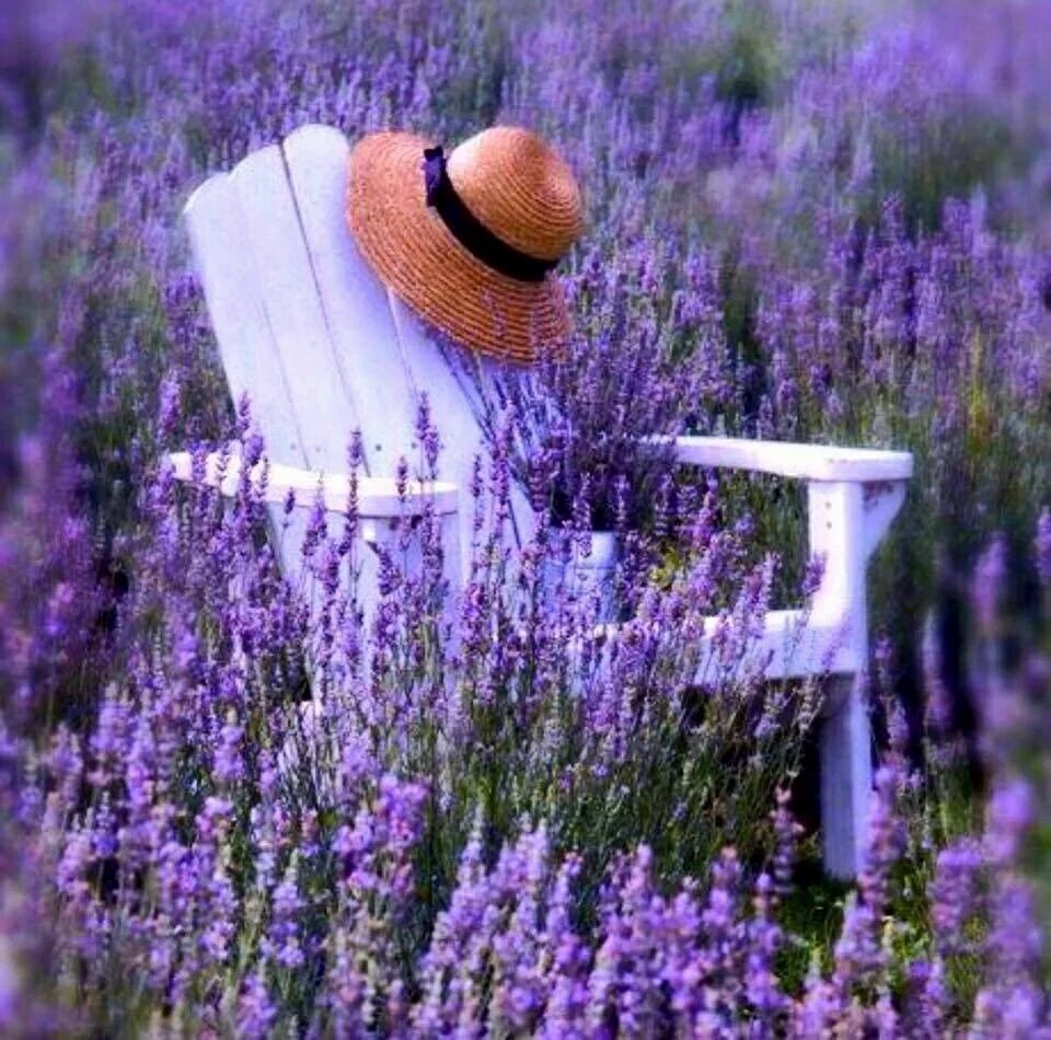 어디서나
사랑받는 사람은 

사랑받을 짓을 하는 사람이고

어디서든
미움을 받는 사람은

미움받을 짓을 하기 때문입니다 

모든 것은
자기 자신에게서 나오게 됩니다