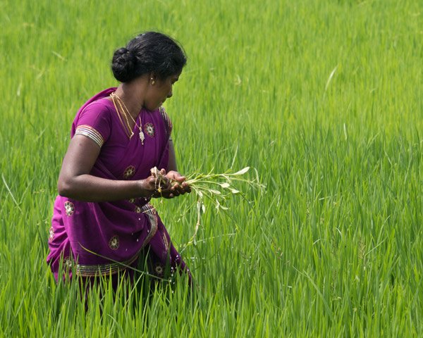 helloAniml's tweet image. We've been busy Animl's this year. See our work for @VaselineBrand incl content &amp;amp; website healingproject.vaseline.co.uk