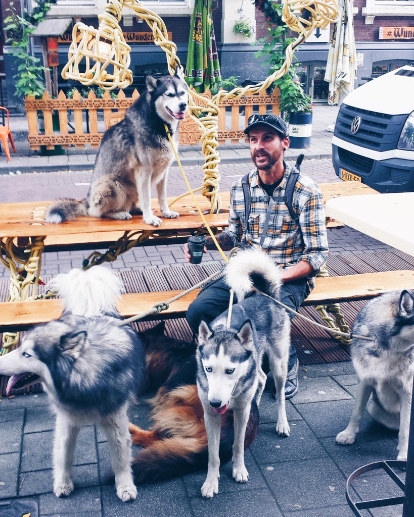 One of our loyal costumers passing by with his pack to get a nice cup of coffee!
#dogwalking #Rotterdam
