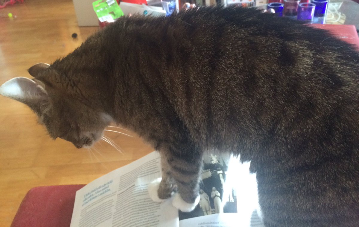 Mia_Gertsch's tweet photo. #kissa löysi just oikean artikkelin. #narsismi @tiede_lehti https://t.co/itOp7kNXId