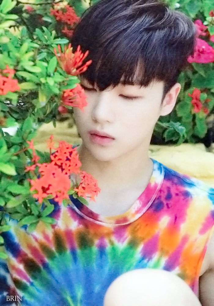 AeuyTLiN's tweet photo. [SCAN] #iKON KONY'S SUMMERTIME JAPAN VER. 
POSTCARDS #JINHWAN https://t.co/tzwtqFDjHc