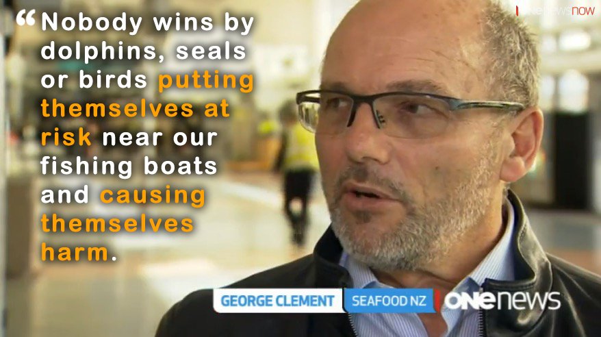 ItsJuElise's tweet image. Fishing industry kills record number of dolphins. @NZSeafood blame dolphins mo.nu/4cru?uid=4BQ1 #NZOverFishing