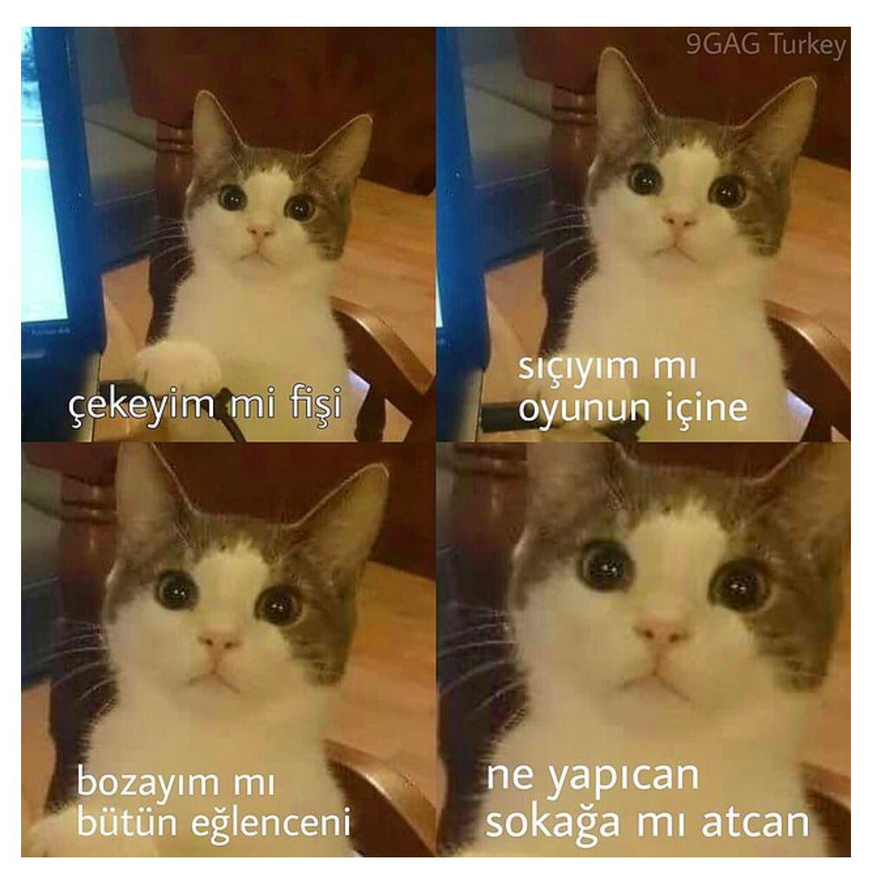 meltem baytas beratis baytasmeltem twitter