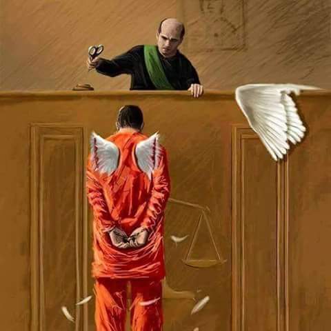 #انسانية_القانون

أعطني قضاء عادل اعطك دوله

فبدون قضاء عادل مستقل لا تقوم دولة القانون المؤسساتيه..
#حاكموا_السراق