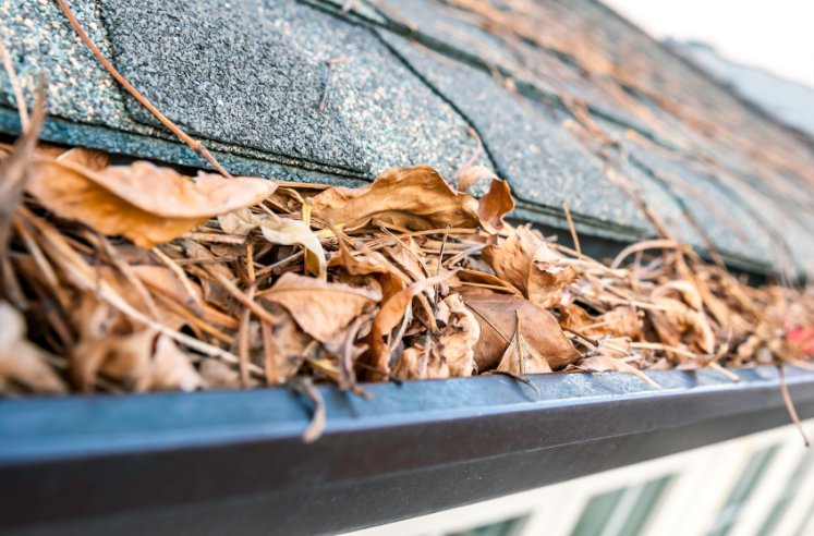 Amerimax's tweet photo. Procrastinate no longer. @Homestructions' reasons to maintain your #gutters https://t.co/c1QQtQx4Vf https://t.co/A40TZadMo4