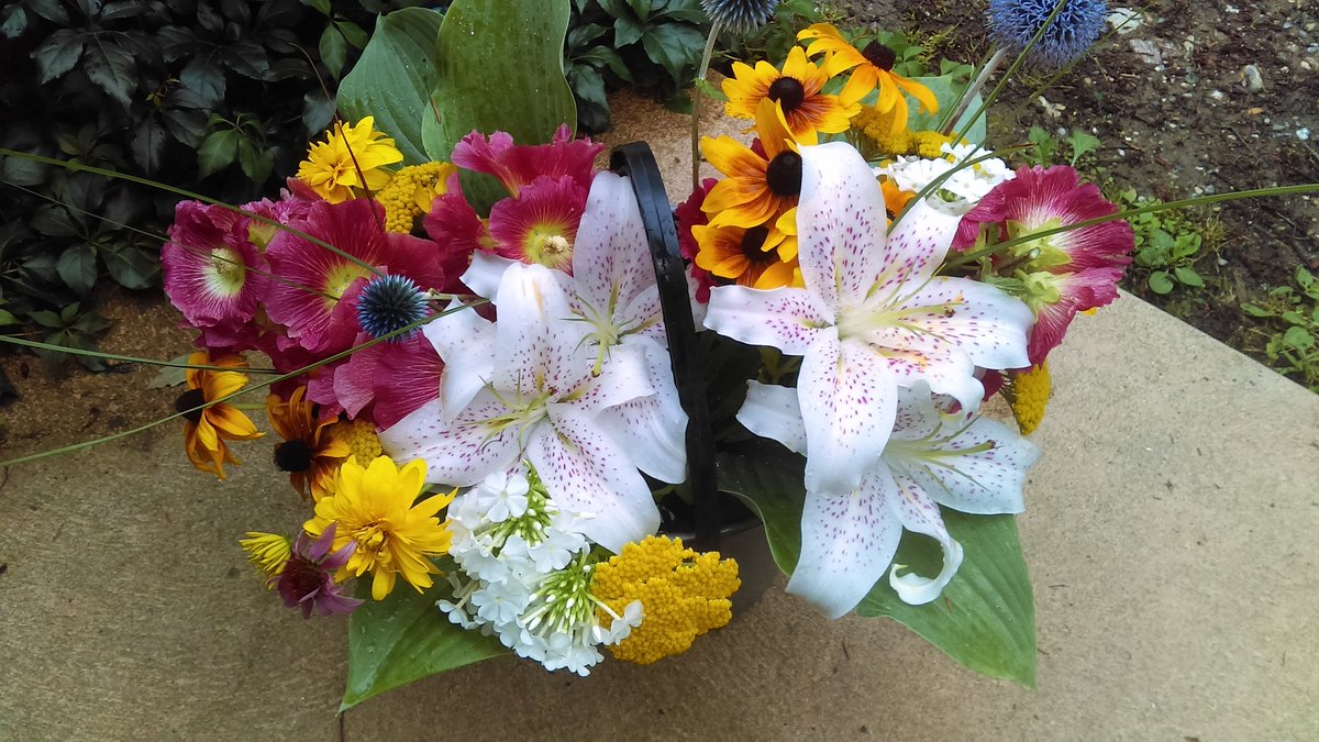 Bluehippievan's tweet photo. Hey #salmonarm  we've got gorgeous lillies out today! Last of the big blooms for the season. https://t.co/BnndryNaJI