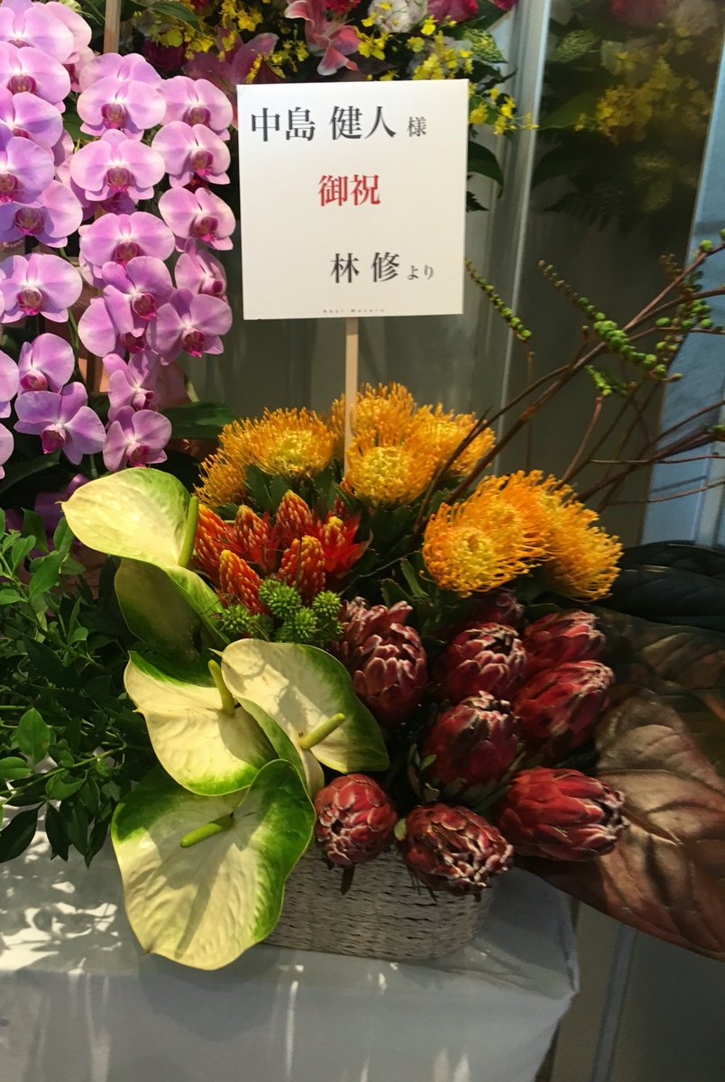 stellaire0508's tweet photo. 林先生が健人くんに贈ったお花（ピンクッション）の花言葉が「どこでも成功を」だそうです。
フォロワーさんに教えてもらいました😊 https://t.co/SDkfbWJhfz
