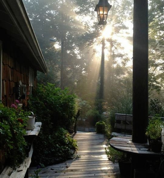 willow_falls's tweet image. #Relax #Restore #Refresh willowfallsgetaway.com 
Book your stay and find yourself renewed!