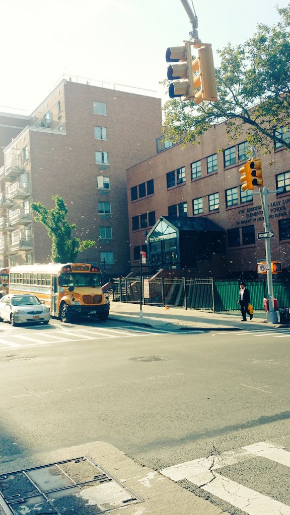 jewpics's tweet photo. Crown Heights, Brooklyn.
Who dosnt smile when they see bubbles.
#uly #bubbles #yeshivah #crownheights #jewish https://t.co/XXXFhue7UE