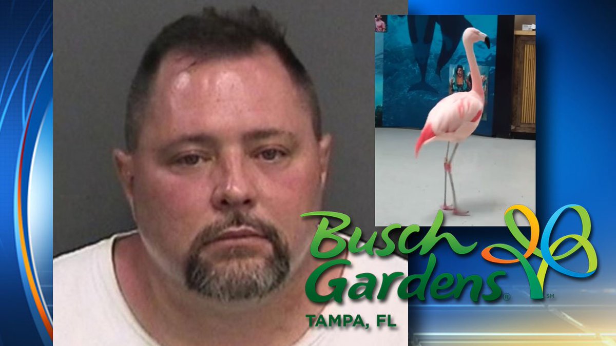 Fla. man arrested after throwing #flamingo to ground at @BuschGardens, bird was euthanized bit.ly/2alcBY6?utm_me… https://t.co/5zEqw09xDh