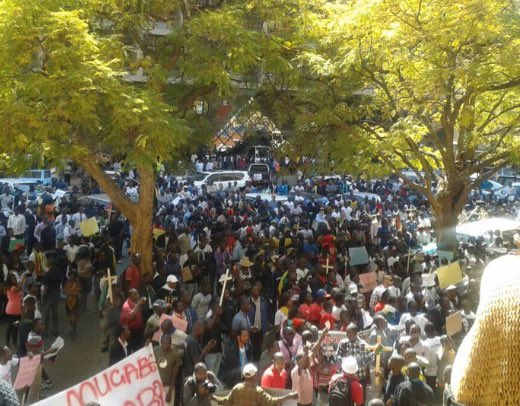 DougColtart's tweet image. Citizens responded to the call to #RejectBondNotes &amp;amp; demand Govt account for the missing 2 million jobs! #ThisFlag🇿🇼