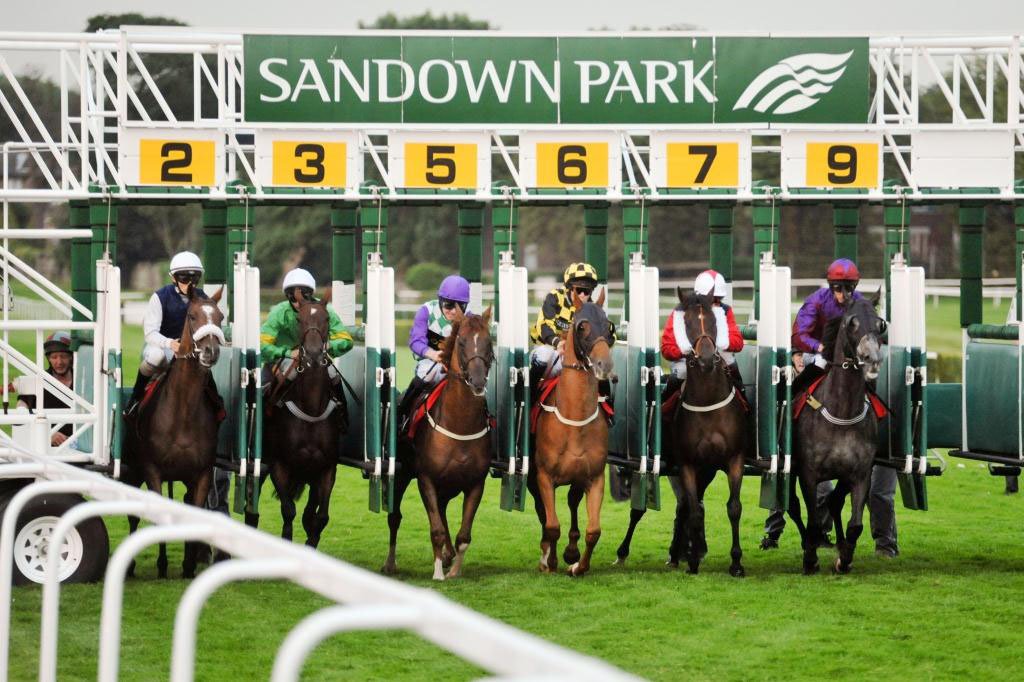 southendtravel's tweet photo. Southend On Sea Taxi #Chauffeur To #Sandown #Park #Racecourse
https://t.co/gQLy6tZO4w https://t.co/ZrDKSAWaaN