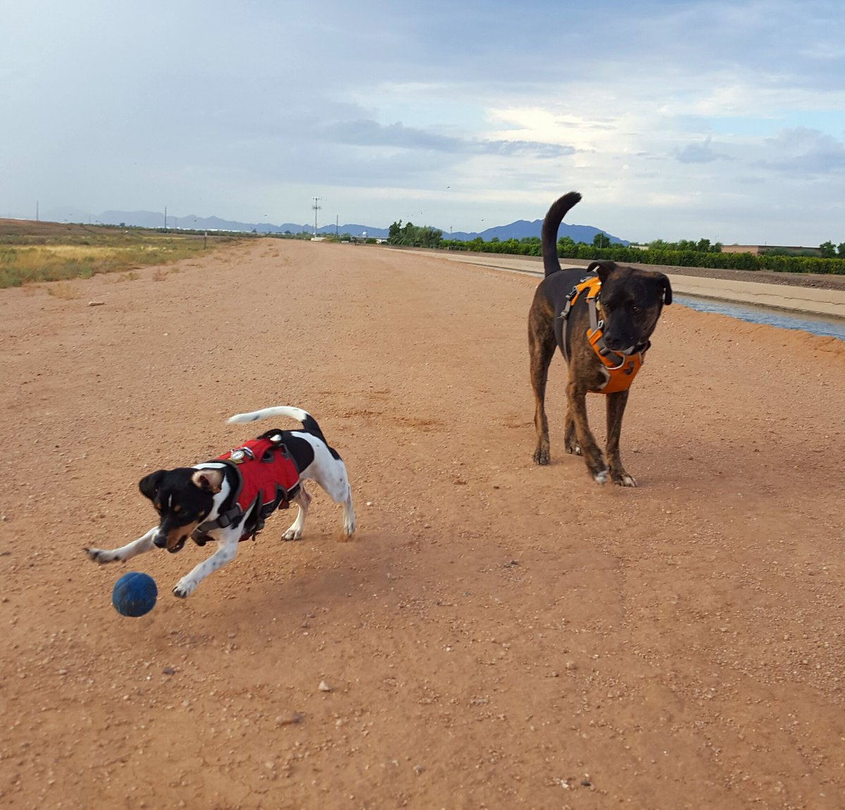 Katie Mogowski tweet media