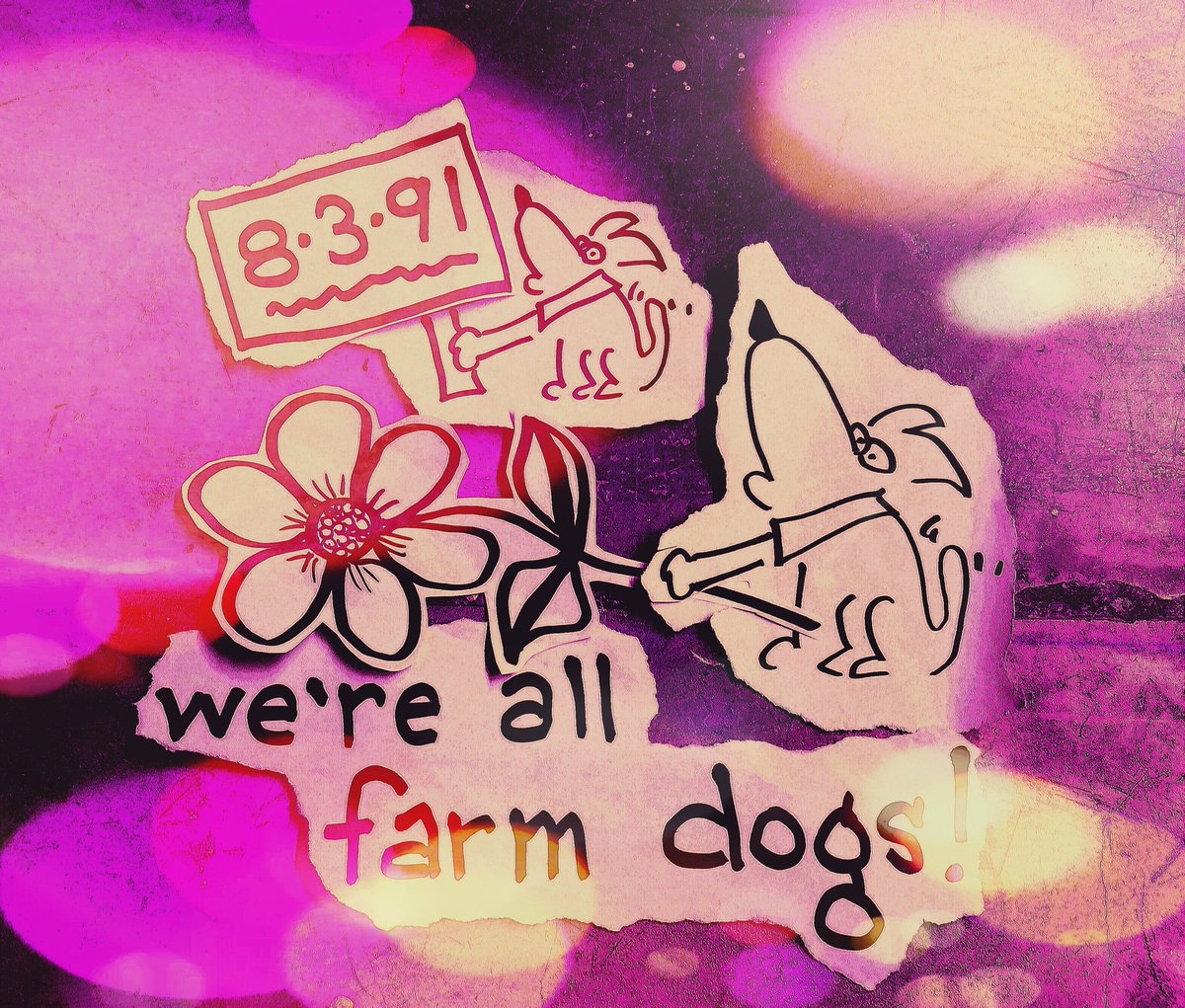 phishdog1's tweet photo. Re-live history as you plan for fall!
#phish #phishtour #phish2016 #phishfall2016 #phishamysfarm #phishdoggie https://t.co/gpwOf47kra