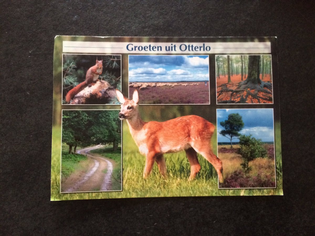 Altijd fijn om een ansichtkaart te ontvangen van een enthousiast en tevreden gezin in de HeartVilla.