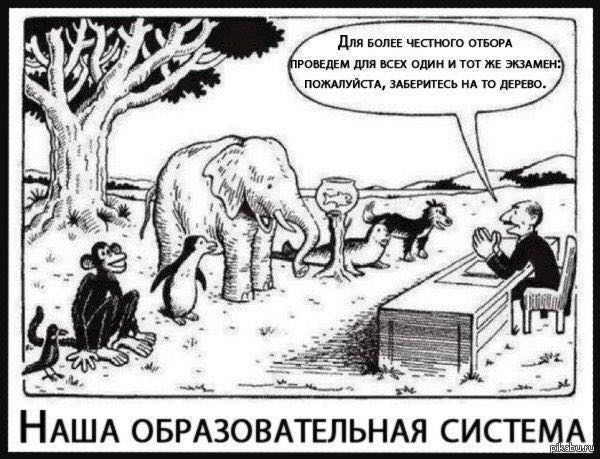"�'се мы гении. Но если вы будете судить рыбу по ее способности взбираться на дерево... bit.ly/1WLXsTW