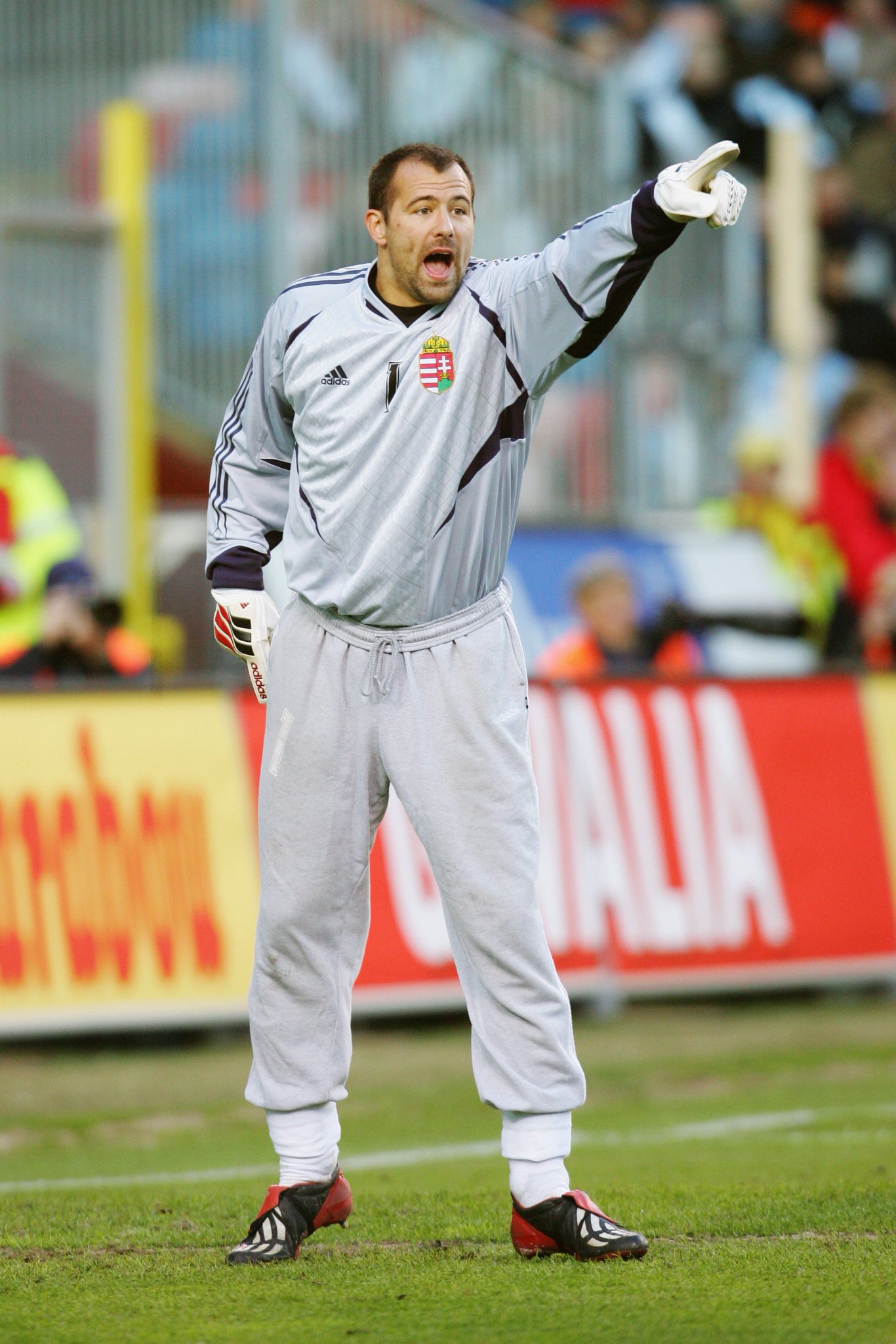 European Qualifiers on Twitter "Hungary legend Gábor Király on wearing