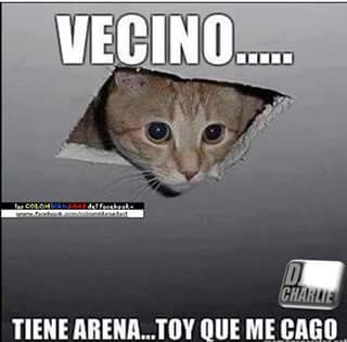 javier_sierra2's tweet photo. Vecino por fa https://t.co/6tKzVUSW98