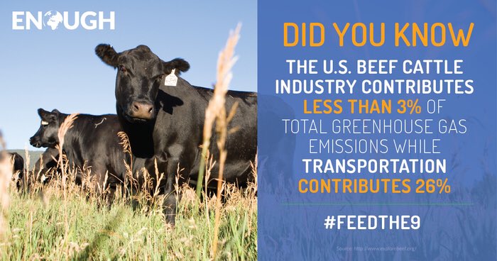 Ryan Eichler (@ryeichler) on Twitter photo 