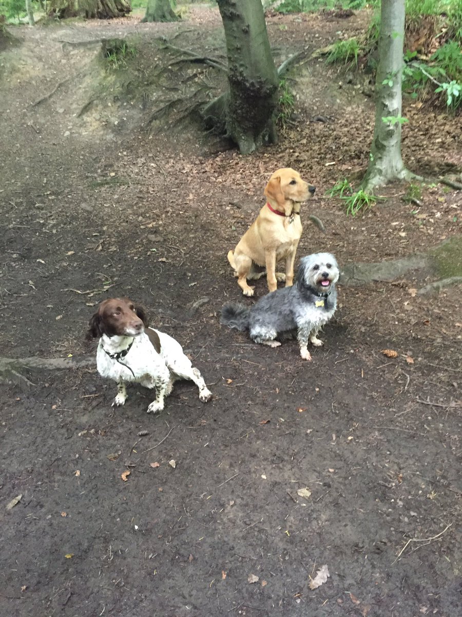 GemmaIble's tweet image. Love where we live! #NorthWales #Countryside #NantMill #Picnic