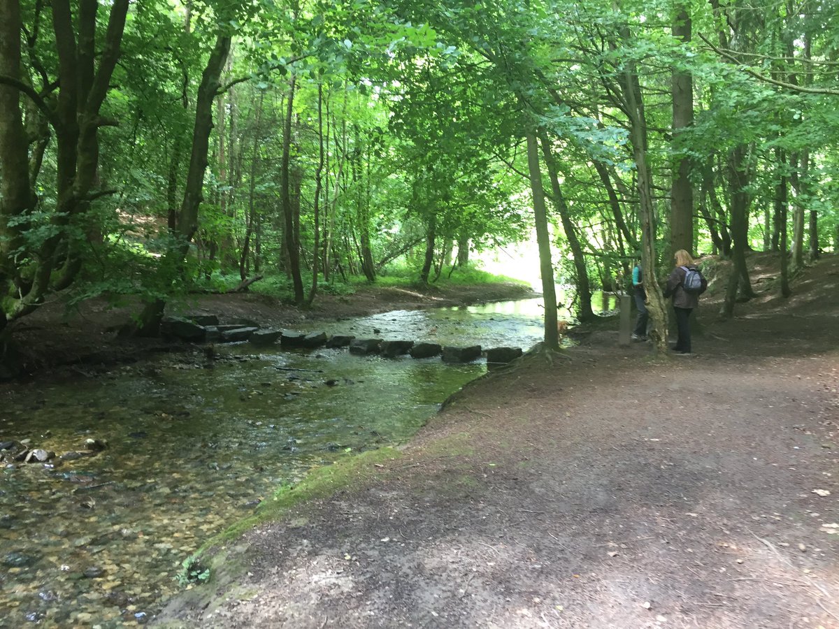 GemmaIble's tweet image. Love where we live! #NorthWales #Countryside #NantMill #Picnic
