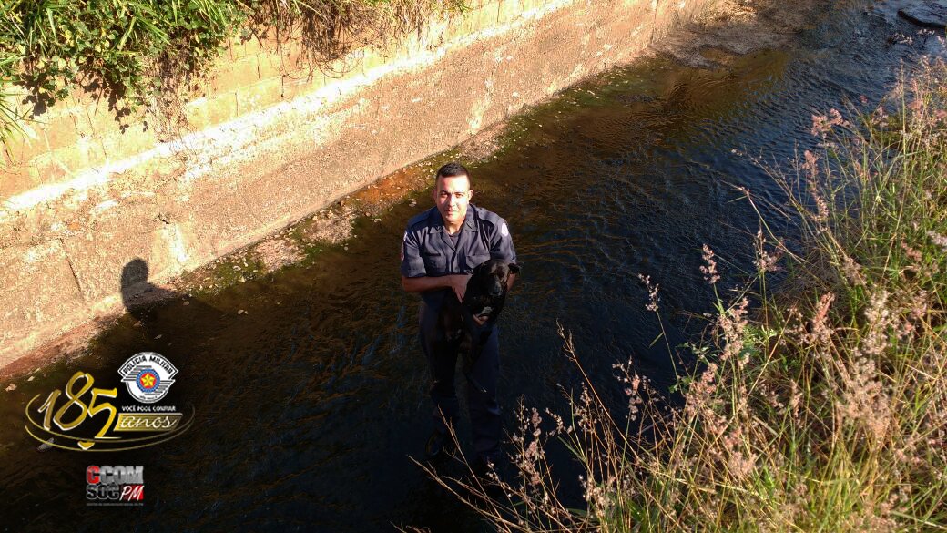 PMESP's tweet image. Herói de farda se lança em córrego para salvar cachorro que estava preso. Veja mais: goo.gl/A1L6b7