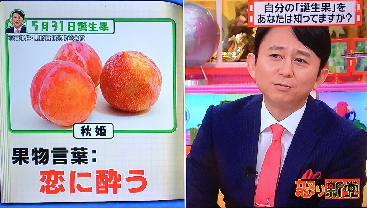 あずきっく در توییتر 怒り新党 誕生果 秋姫 プラムの一種 味が濃く甘みがありジューシー 果物言葉は 恋に酔う 有吉 恋に酔う いいね