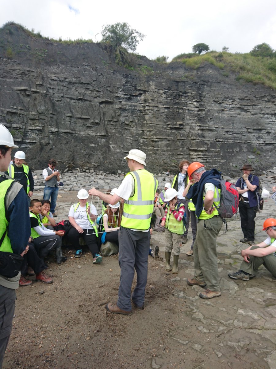 LeesonHouse's tweet photo. Helping the @NHM_London research #fossil abundance @FossilBlitz with @rockwatchclub https://t.co/hcHBtfC415