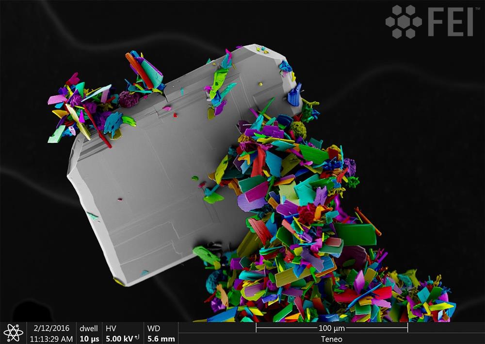 thermosciEMSpec's tweet photo. Eric Formo, University of Georgia, won M&amp;M 2016 Micrograph of the Year, taken on FEI Teneo #microscopy #MM2016Ohio https://t.co/ehLbV1xVMM