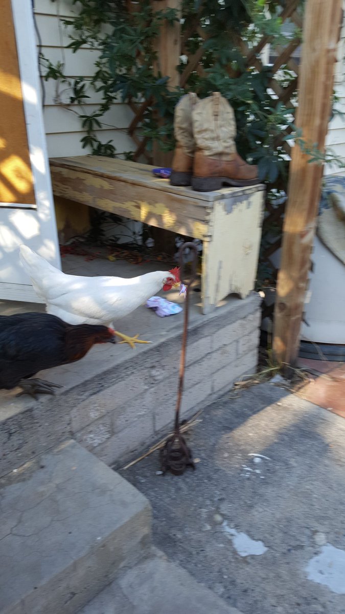 Bishop FFA (@buhsffa) on Twitter photo 