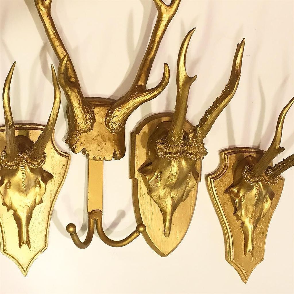 AustinRocksTX's tweet photo. Hang your coat on one of these. Gold trophy antler hooks from @twoscompany , $41.95 each. #antler #antlers #deer #o… https://t.co/tGWBohqEvX