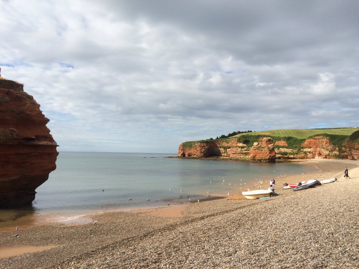 Nomad District tweet media