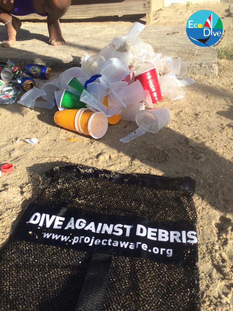 GrenadaEcoDive's tweet photo. .@projectaware thank you to all our snorkelers yesterday who helped clean up #adoptadivesite #mypadi #PUREGRENADA https://t.co/hN34mK1nWN
