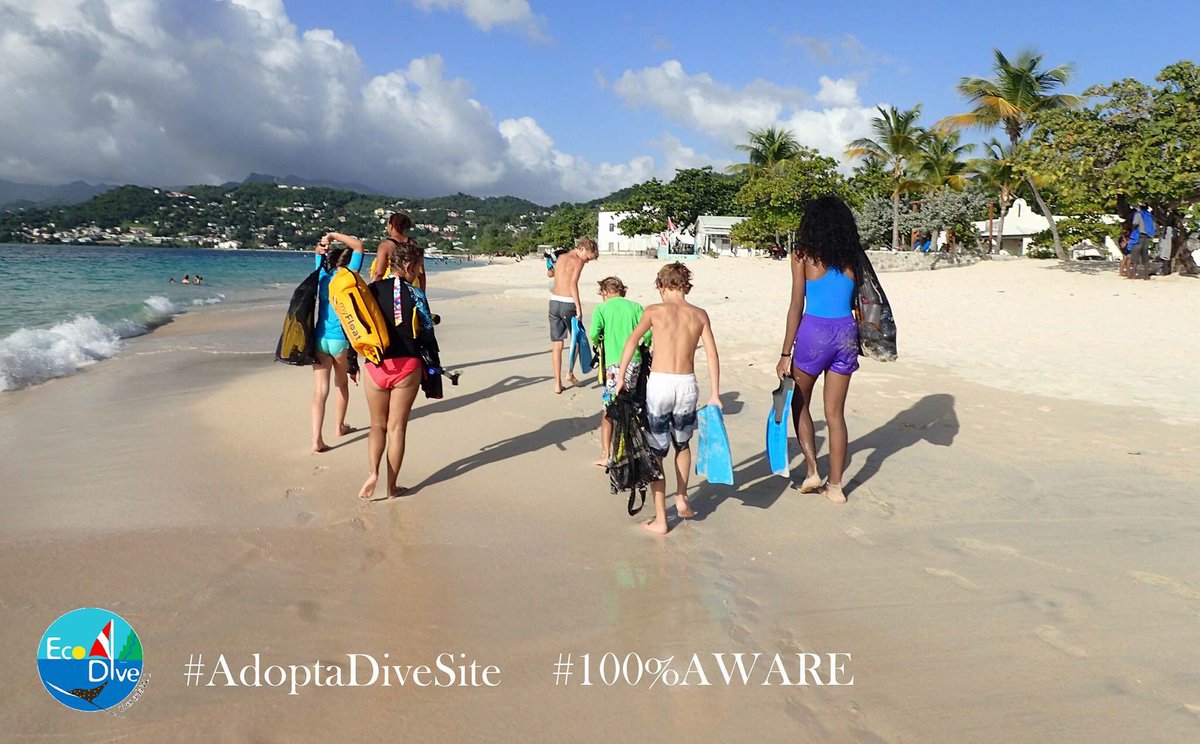 GrenadaEcoDive's tweet photo. .@projectaware thank you to all our snorkelers yesterday who helped clean up #adoptadivesite #mypadi #PUREGRENADA https://t.co/hN34mK1nWN
