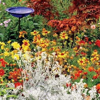 How to get late-summer color in your garden bit.ly/1ZdazNa