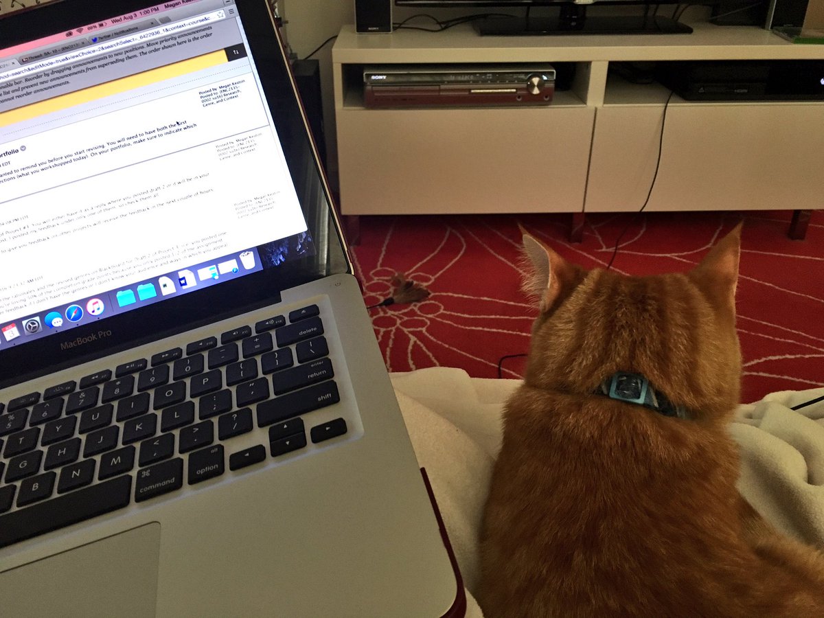 meganfire's tweet photo. Charlie is helping me grade. #helpfulcat #mkcc2135 https://t.co/Hua0SaOKDS