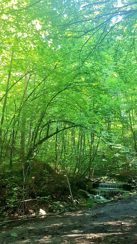 a_delbridge's tweet photo. A quiet, serene place to reflect on an experience unlike any other. Sitting and taking in nature. #bneWYD16 #ustron https://t.co/r9UkUweDsh