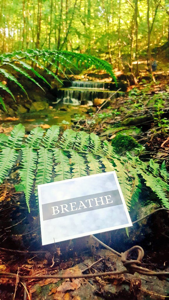 a_delbridge's tweet photo. Breathe. Stop to appreciate the moments of stillness. The moments of calm. The moments of peace #bneWYD16 #ustron 🇵🇱 https://t.co/AoLJyBlSwJ