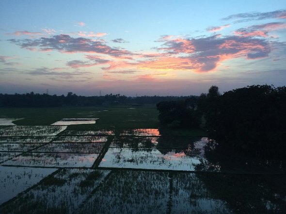 Deactiv10's tweet photo. Taken in Jessore, Khulna, Bangladesh. https://t.co/XC9OPhoFAB
