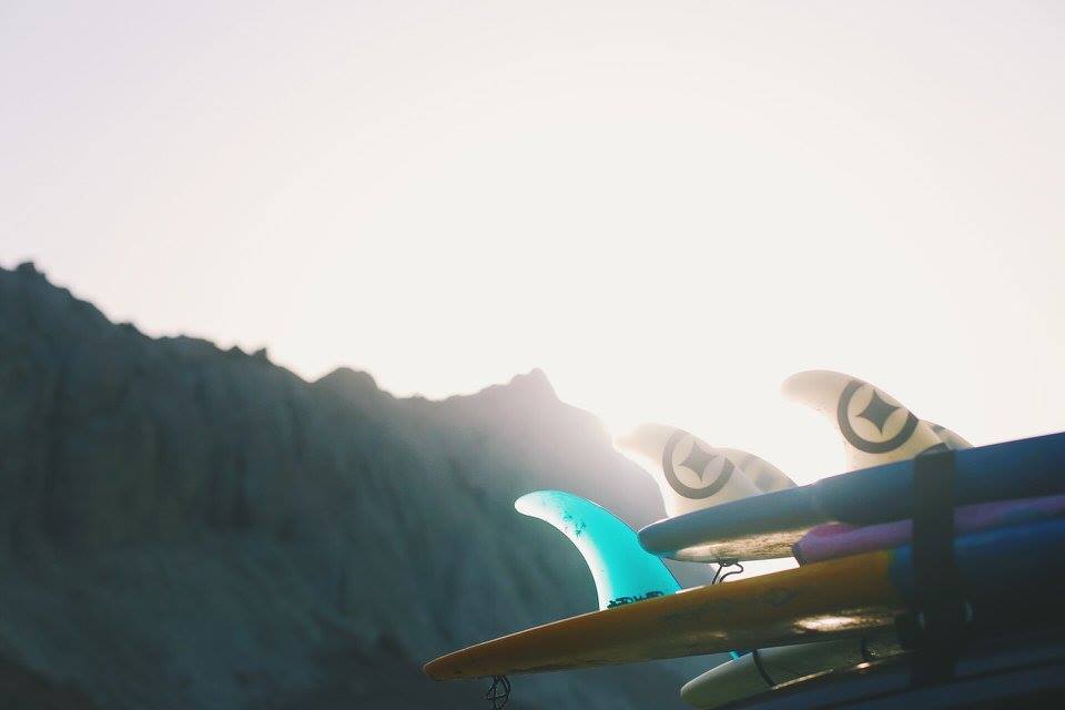 waves_freedom's tweet photo. Have you heard?! Surfing has now been approved as an Olympic Sport for the 2020 Olympic games in Tokyo🤘🏄🌴 https://t.co/gsOyA8Ny71