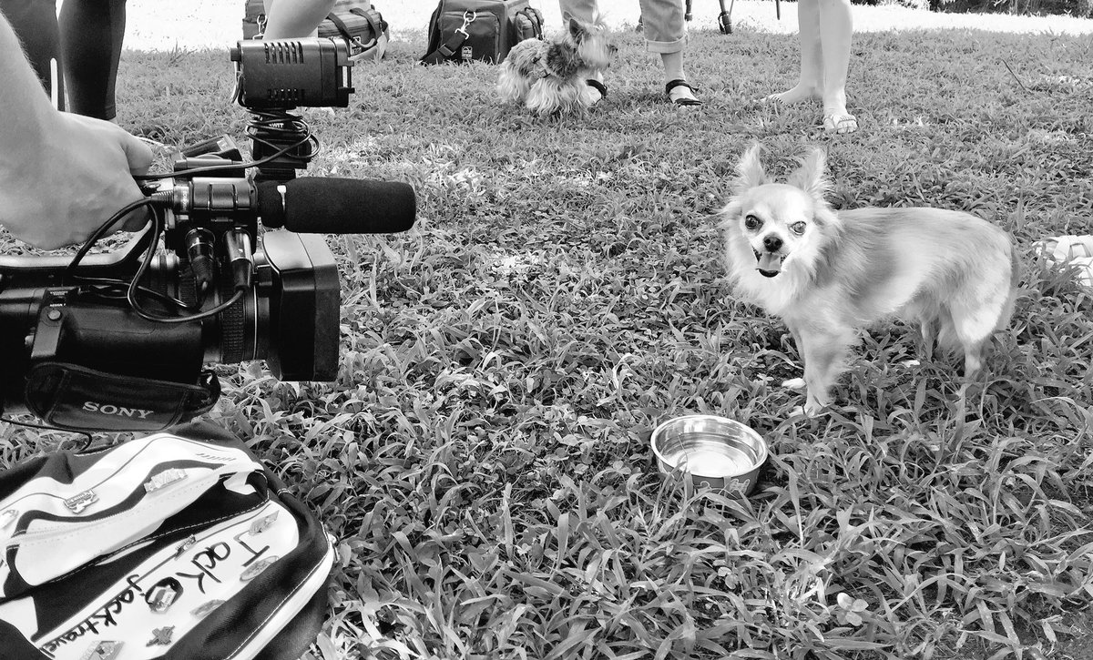JackTravels's tweet photo. That face you make when you're the most famous one in your family and friends. Right @waff48? Thanks @steffanymeans https://t.co/1M0aDpeFH6
