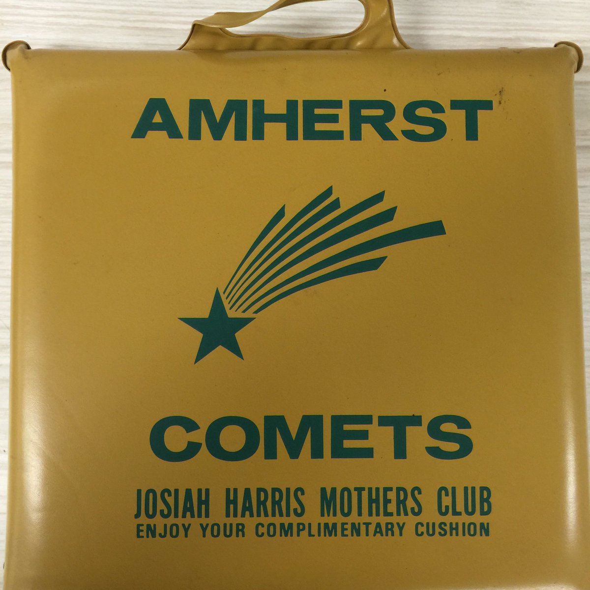 HistoryAmherst's tweet image. Big 👍🏼👍🏼 to @KimHaney13 and Joan from Amherst Historical Society for these outstanding additions!!
#CometHistory