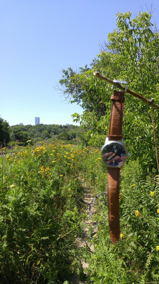 Someone lost track of time on the trail #CrothersWoodsTrail #DonValleyTrails