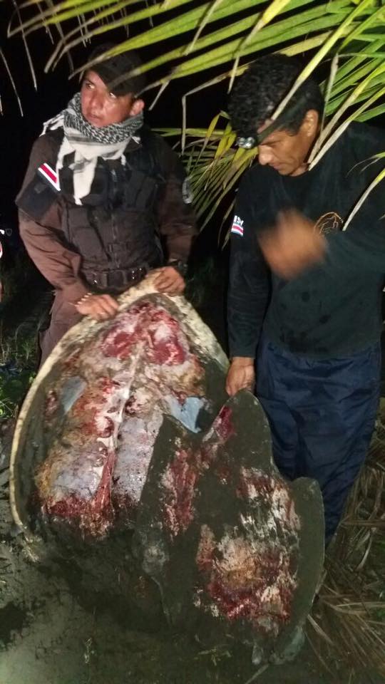 OperacionMoin's tweet photo. #MOIN #JAIROVIVE @luisguillermosr https://t.co/vfANWeBNtk