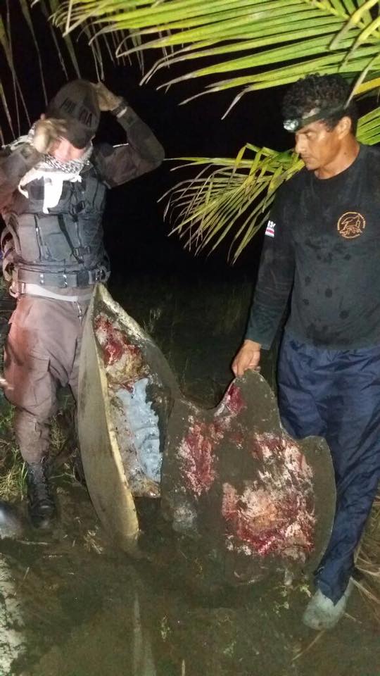 OperacionMoin's tweet photo. #MOIN #JAIROVIVE @luisguillermosr https://t.co/vfANWeBNtk